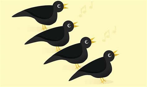 What are Four Calling Birds? - The Truth Behind Them