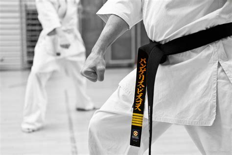 kata karate kyokushin History of kyokushin kata | Blog Karate Collection