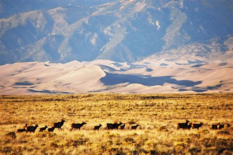 15 EPIC Things to Do at Great Sand Dunes National Park (+ Photos)