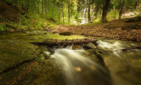 A Guide to Measuring Stream Water Quality — We Plant it Forward