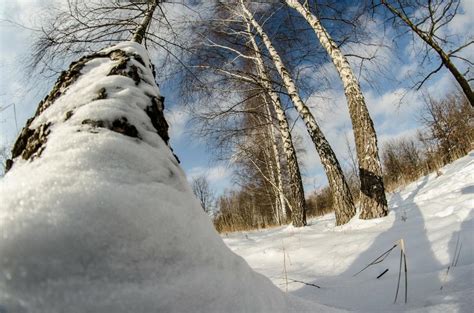 Free Stock Photo of Person Snowboarding Down Snow Covered Slope ...