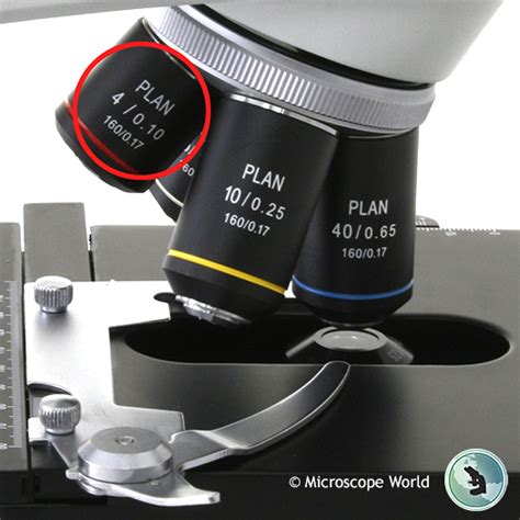 Compound Light Microscope Low Power Objective Magnification | Shelly ...