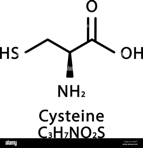 Struttura molecolare della cisteina. Formula chimica scheletrica della ...