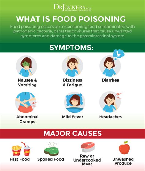 Food Poisoning: Causes, Symptoms & Support Strategies - DrJockers.com