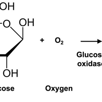 Scheme 1. Reaction scheme of glucose oxidation catalyzed by glucose ...