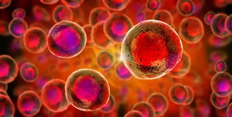 7 Ways Stem Cell Regeneration Is Being Used In Medicine - Viral Rang