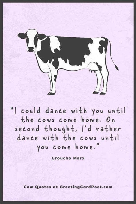 173 Cute Cow Quotes Till When The Cows Come Home | Cow quotes, Quotes ...