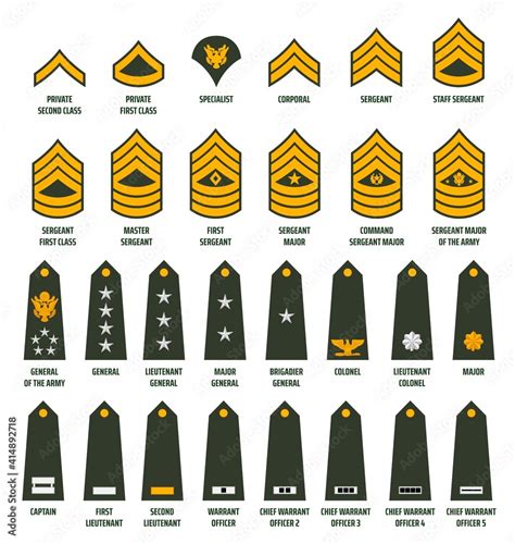 Naklejka US army enlisted ranks chevrons and insignia. America military ...