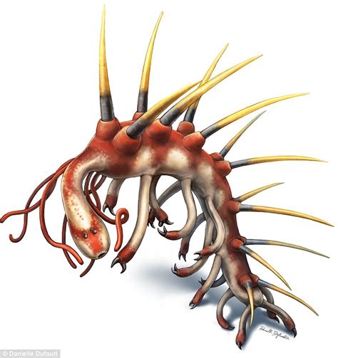 Hallucigenia, the ancestor of arachnids and insects had needle-like ...