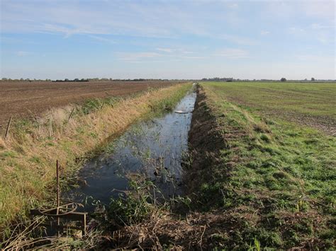 Ditches - Freshwater Habitats Trust