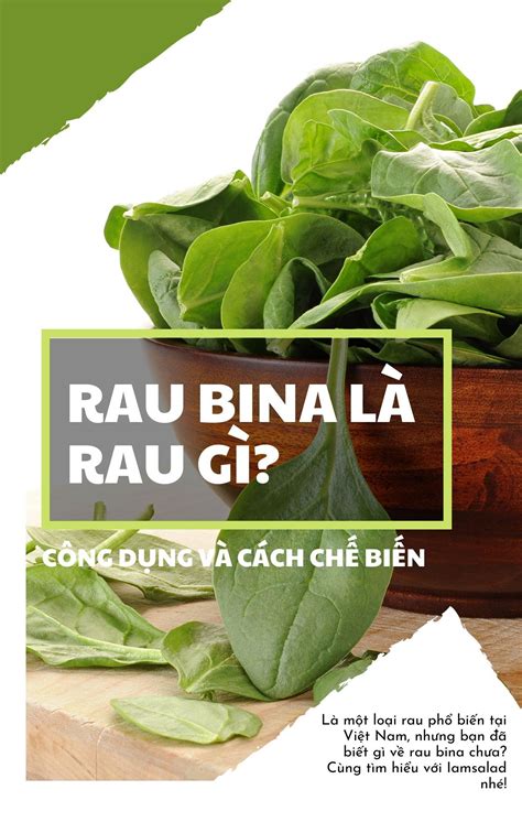 Rau bina là rau gì? Công dụng và 7 món ngon dễ làm