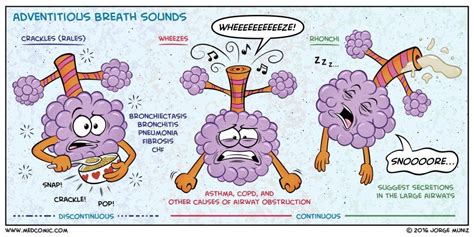 Twitter | Nursing school survival, Breath sounds, Nurse