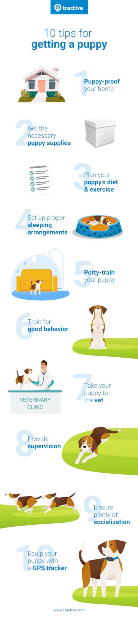 10 Step Puppy Care Guide for New Dog Parents - Tractive Blog | Mefics