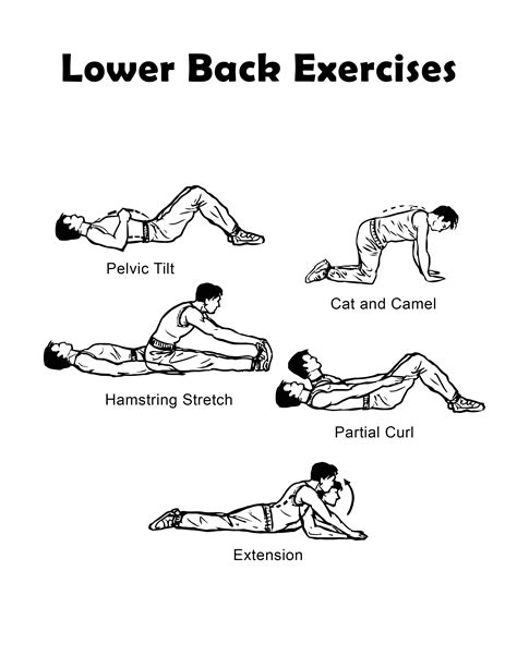 Lower Back Muscles Exercises / 6 Best Exercises for Lower Back Pain ...