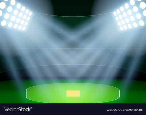 Background for posters night cricket stadium Vector Image