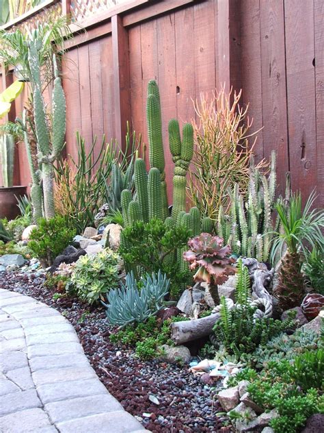 Outdoor Cactus Garden Ideas For The Best Looking Landscape