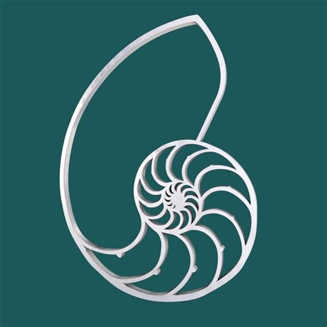 Free Nautilus Symbol 3d Model