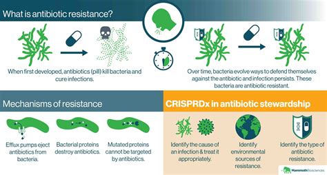 Antibiotic Resistance