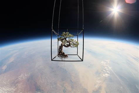 8 of the Strangest Things Ever Sent into Space