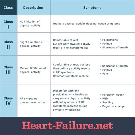 What Are the Different Classes and Stages of Heart Failure Symptoms?