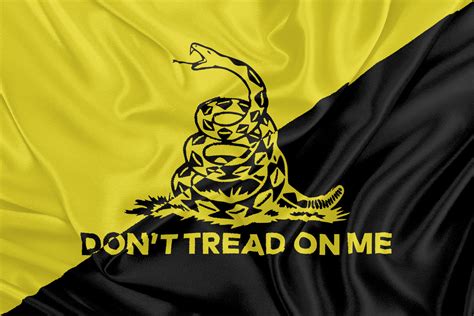 Ancap Snake Flag Realistic by LiberAncap on DeviantArt