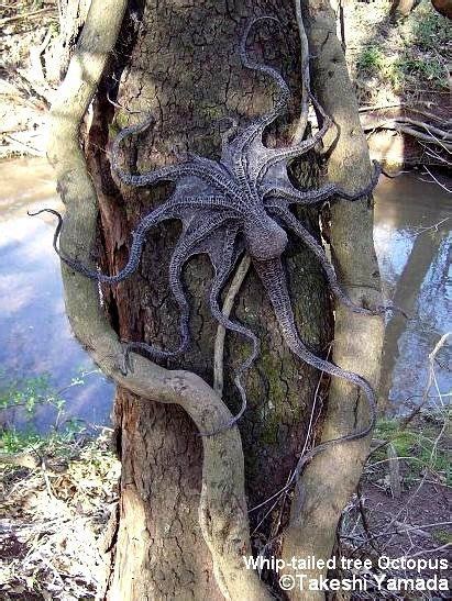 Is the Pacific Northwest Tree Octopus Real