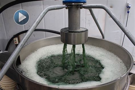 SunLive - Project to probe large-scale spirulina production - The Bay's ...