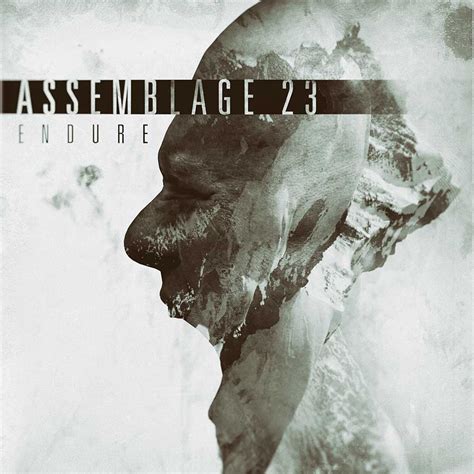 Review: Assemblage 23 - Endure