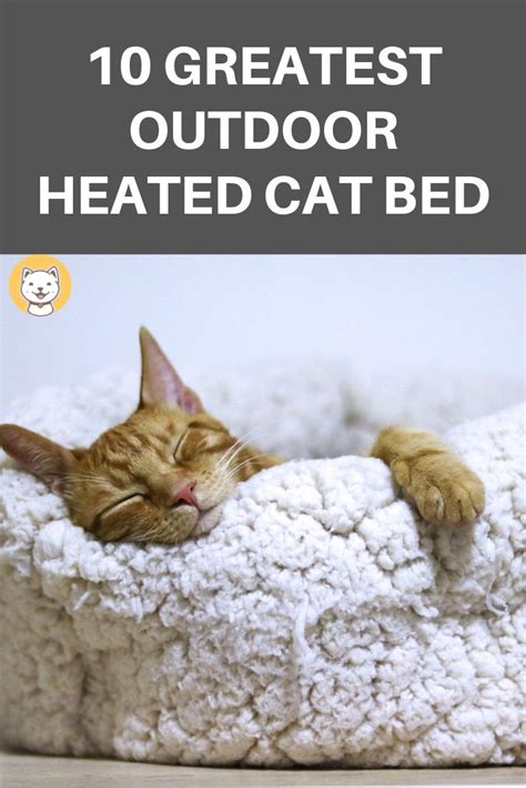 10 Greatest Outdoor Heated Cat Bed Review And Guide | Heated cat bed ...