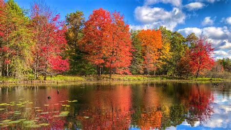 When will fall colors peak in West Michigan? | WOODTV.com