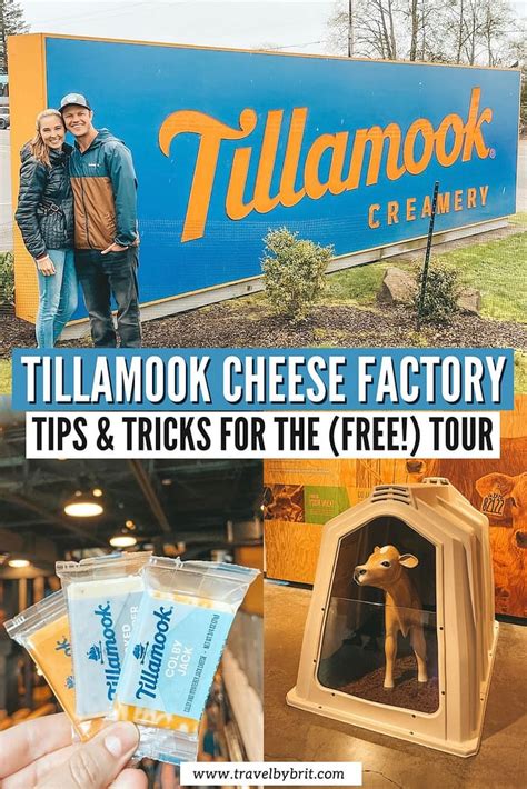 Tillamook Cheese Factory Tour: What to Expect, Tips & FAQs