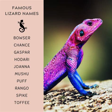 300+ Best Lizard Names (Cute, Funny, and Cool) - Every Little Name