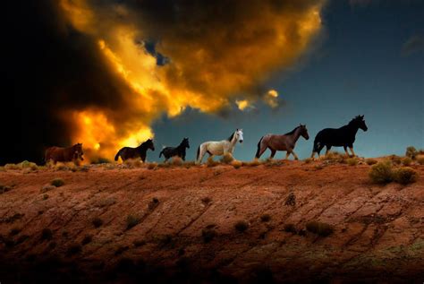 Wild Horses at Sunset | photo by Harry Spitz | Wild horses, Wild horses ...