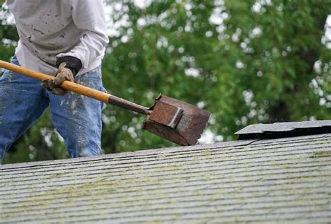 5 Best Roofing Shovels For Tearing Off Shingles [Compared]