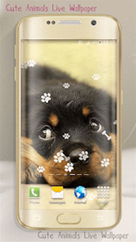 Cute Animals Live Wallpaper for Android - Download