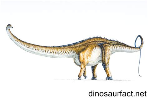 Barosaurus dinosaur | Prehistoric animals, Dinosaur, Prehistoric creatures