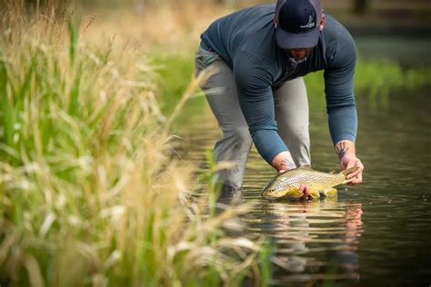 3 Tips to Improve Your Fly Fishing Photography | Montana Angler