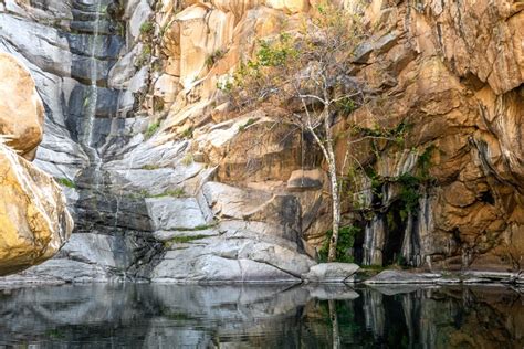 23 Fun Day Trips from San Diego (By a Local)