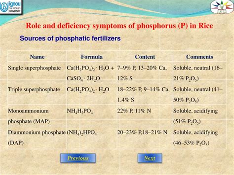 PPT - Role and deficiency symptoms of phosphorus (P) in Rice PowerPoint ...