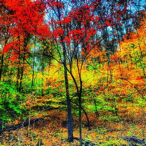 Appalachian Fall Palette | Smithsonian Photo Contest | Smithsonian Magazine