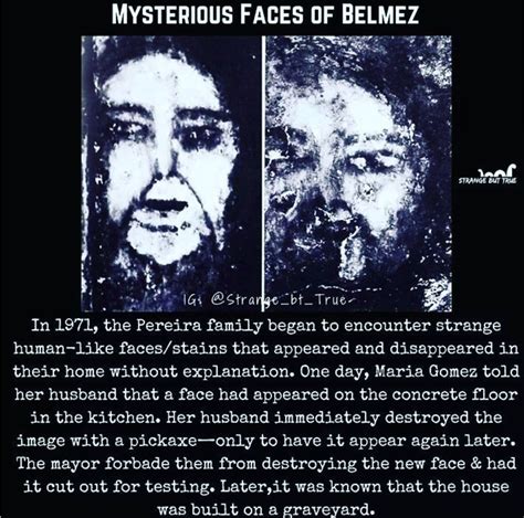 The mysterious faces of Belmez. : r/mystery