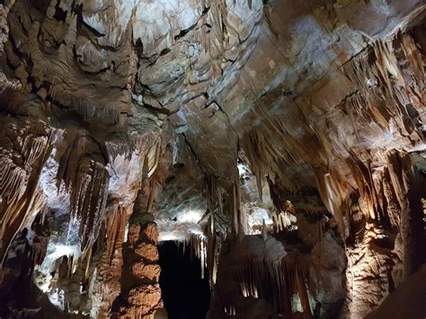 Caves of Australia; the Blue Mountains Jenolan Caves - Best of the Blue ...