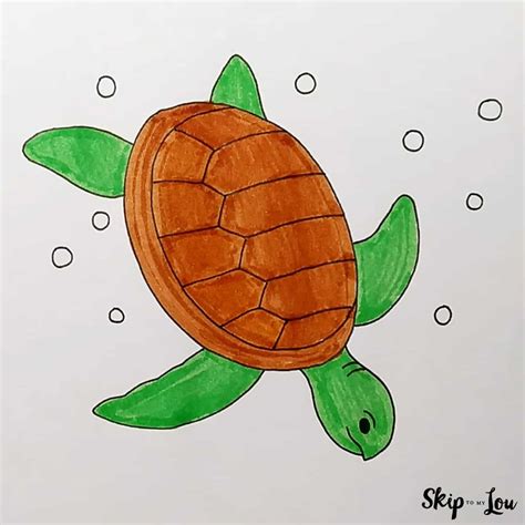 How To Draw A Turtle For Kids