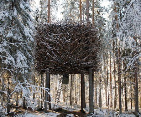 Bird’s Nest Treehouse in Sweden Nest Hotel, Site Hotel, Unusual House ...