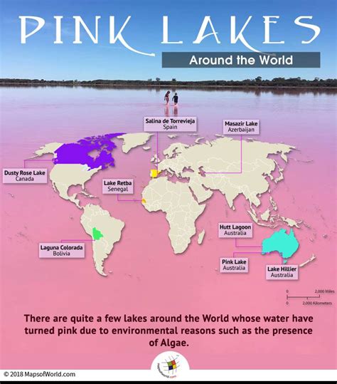 Where are Some of the Most Beautiful Pink Lakes? - Answers | Pink lake ...