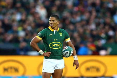 Stormers' Dobson backs Libbok: 'He's been outstanding for Boks'