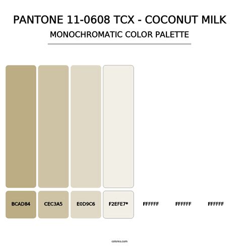 PANTONE 11-0608 TCX - Coconut Milk color palettes - colorxs.com