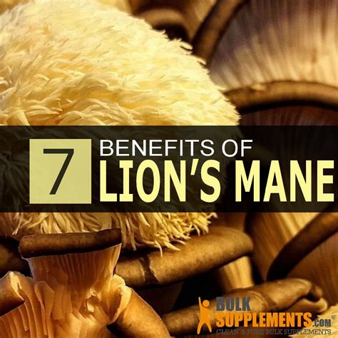 7 Benefits of Lion's Mane Mushroom: Side Effects and Dosage | Lions ...