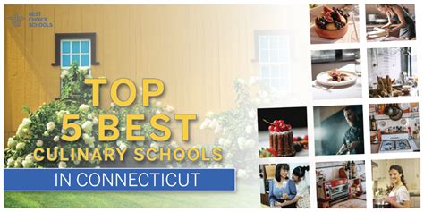 Top 5 Best Culinary Schools in Connecticut 2021 - Best Choice Schools