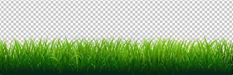 Green Grass Borders